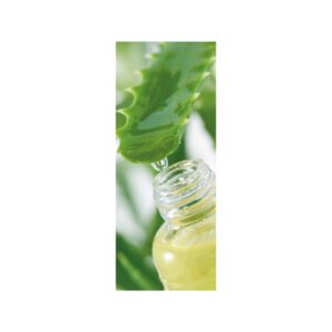 Succo di aloe vera 100% - 500 ml
