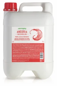 Sciroppi per granite - 5 L - 5L ANGURIA