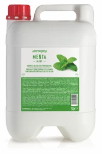 Sciroppi per granite - 5 L - 5L MENTA