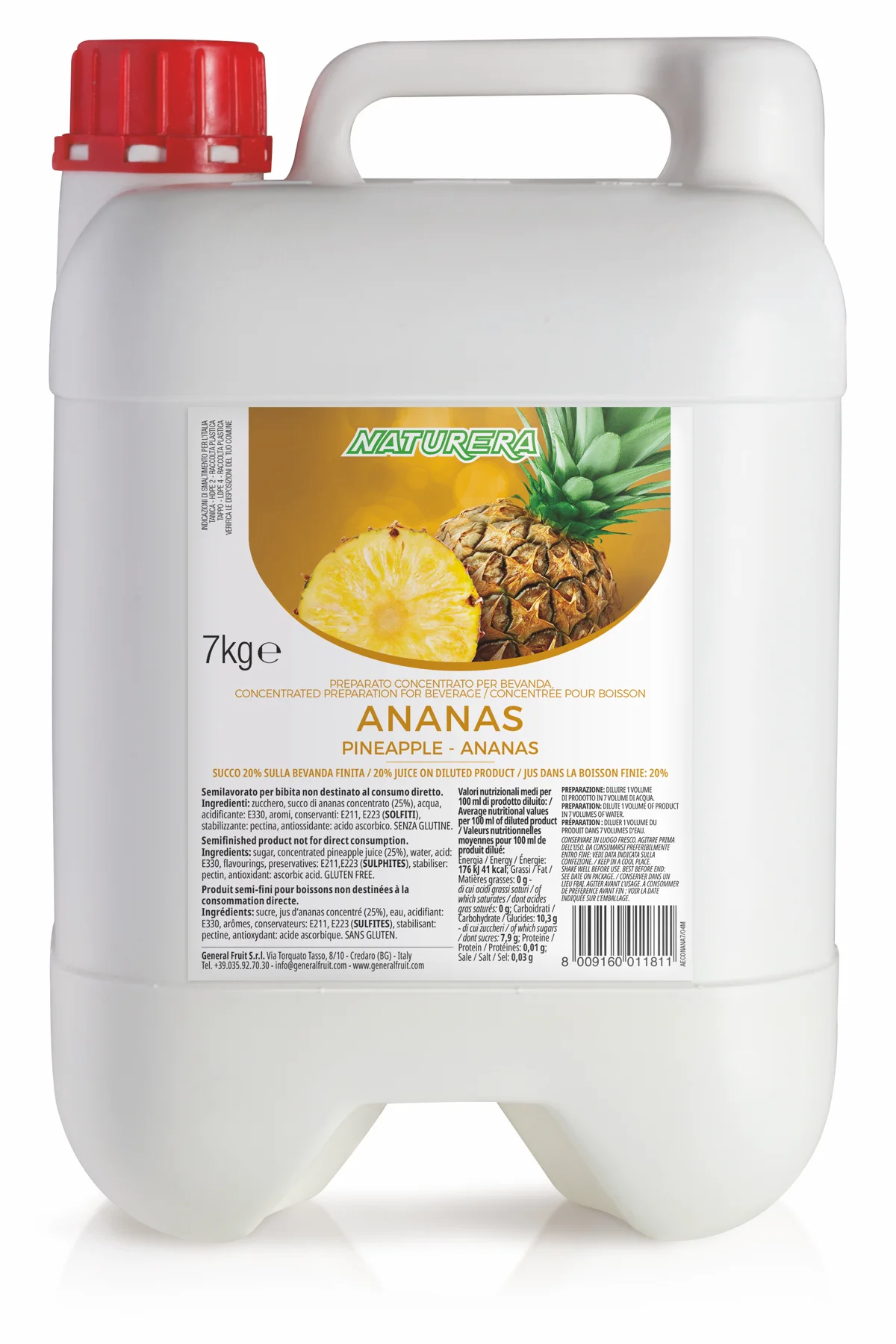 Succhi concentrati grandi formati - 6,5/7 kg - 3D Succhi concentrati 7kg Naturera Ananas